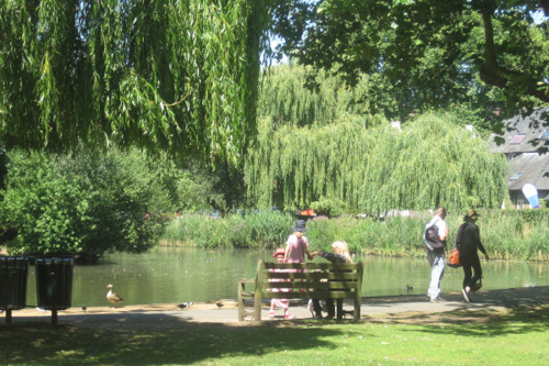Richmond parks celebrate record Green Flag awards
