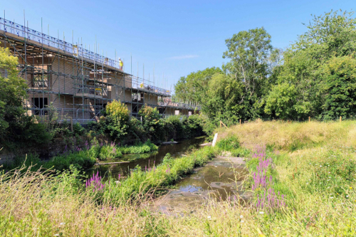 Naturalising the River Crane in Twickenham: a community celebration