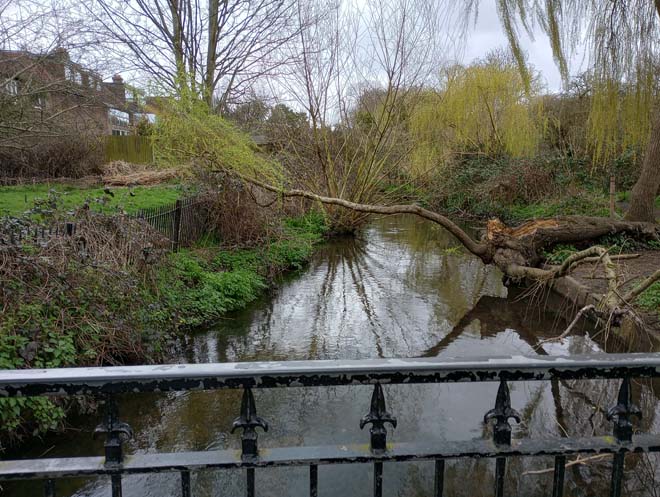 Figure 145: Beverley Brook at the southern boundary of the Conservation Area