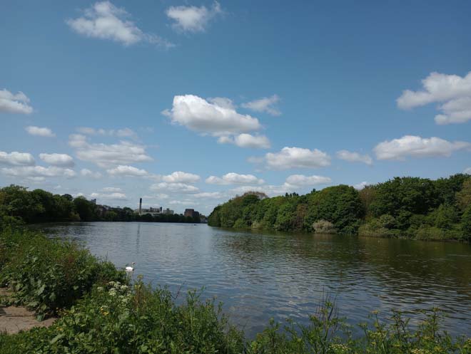 Figure 41: View from the White Hart looking upstream to Mortlake with the Stag Brewery site visible in the distance