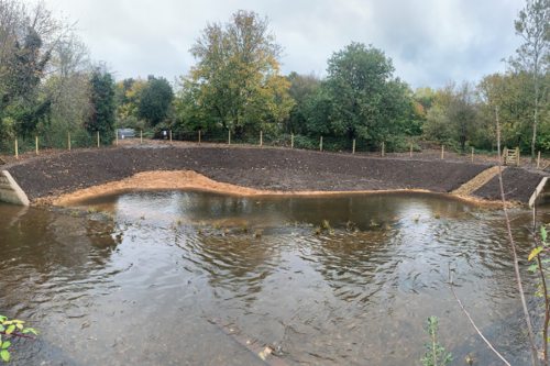 Restoring nature and looking after it together