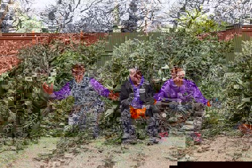 Shooting Star Children's Hospices Christmas tree collection