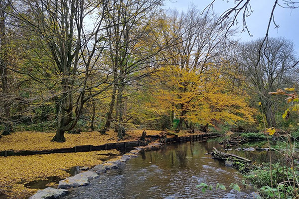 Take part in the Parks Satisfaction Survey