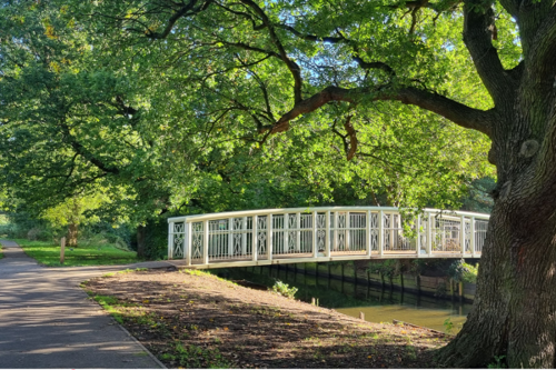 Have your say on how we protect our parks and public spaces